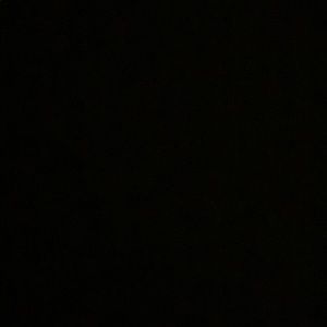 Meet your Posher, Amelia